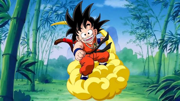 imagem4